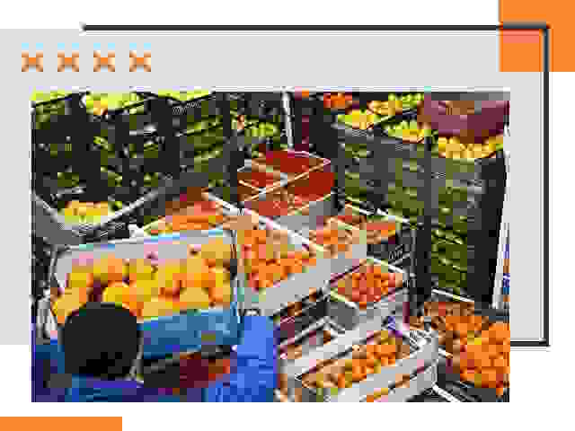 Перевозка скоропортящихся продуктов в Орле
